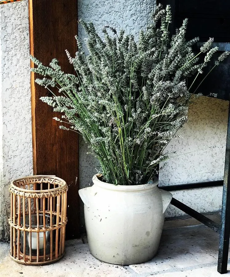 Couette-café Le Mas de San Lou Cabasse France